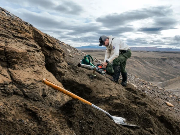 Eske Willerslev raccoglie campioni nell'Artico canadese durante un viaggio sul campo nell'estate 2024. Il DNA conservato nel suolo potrebbe aiutare a determinare come si è estinta una megafauna, come il mammut lanoso. RYAN WILKES/UNIVERSITÀ DI COPENHAGEN