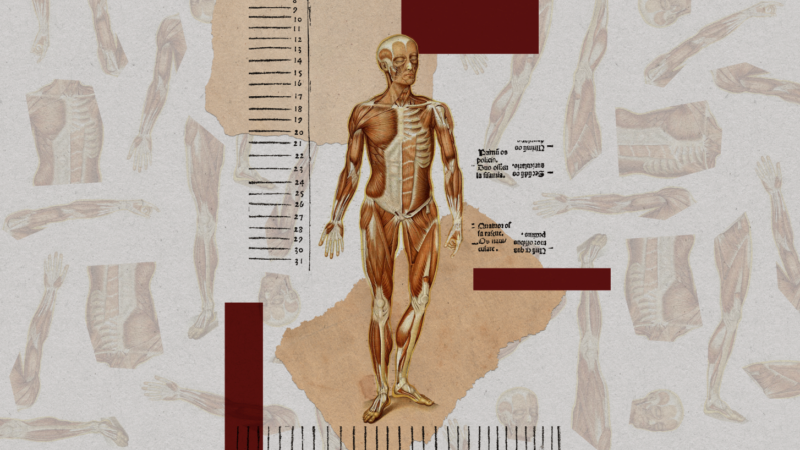 Aïda Amer/MIT Technology Review | Photos National Library Medicine