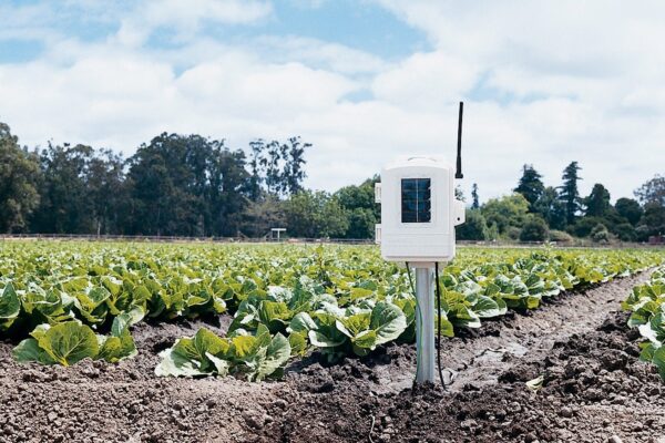 Example of Leaf & Soil Moisture/Temperature Station (fonte: Davis Instruments)
