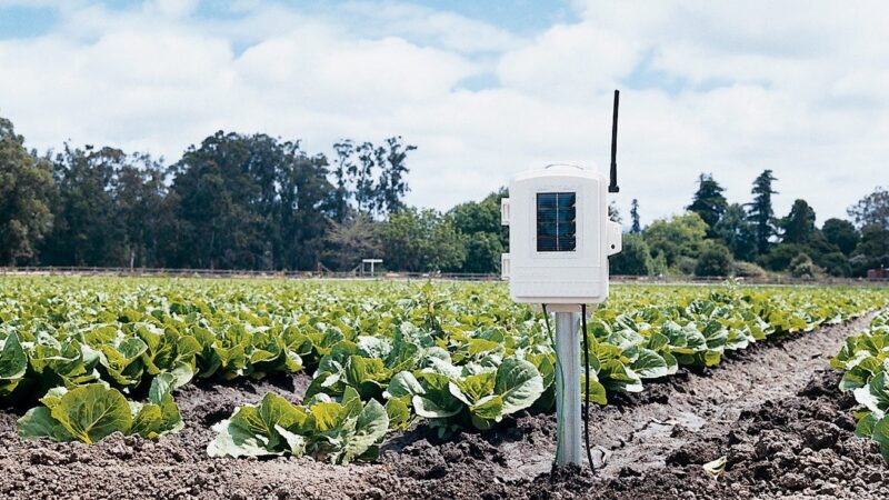 Example of Leaf & Soil Moisture/Temperature Station (fonte: Davis Instruments)