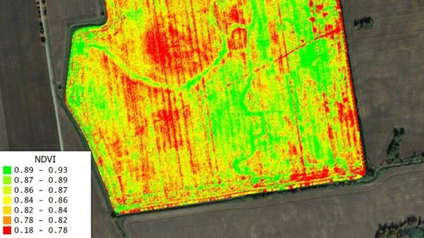 Example of NDVI map visualization (fonte: Shurlaeva, Ekaterina & Tokarev, K & Sanzhapov, B. (2021). Satellite monitoring and visualization of vegetation indices for assessing crop productivity. Journal of Physics: Conference Series. 2060. 012018. 10.1088/1742-6596/2060/1/012018)