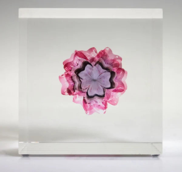 In questo cubo di plexiglass di 10 centimetri, i fiori del futuro sono "conservati", consentendo allo spettatore di vederli in una visione comparativa e stratificata.PER GENTILE CONCESSIONE DI ANNELIE BERNER
