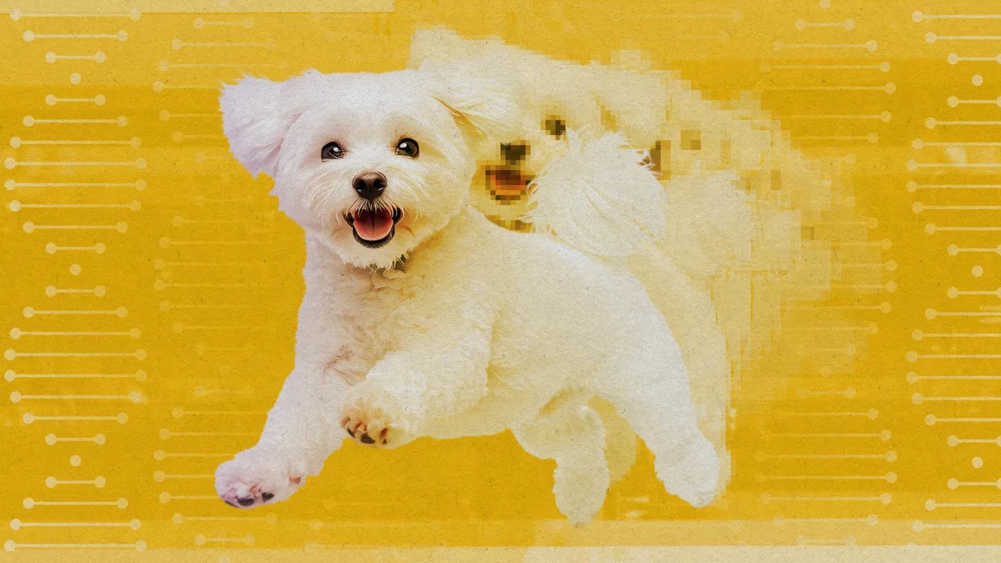 Photo illustration by Stephanie Arnett & Sarah Rogers/MITTR | Photos Adobe Stock, Getty