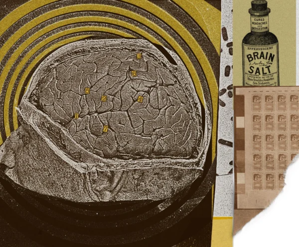 STEPHANIE ARNETT/MIT TECHNOLOGY REVIEW | PUBLIC DOMAIN