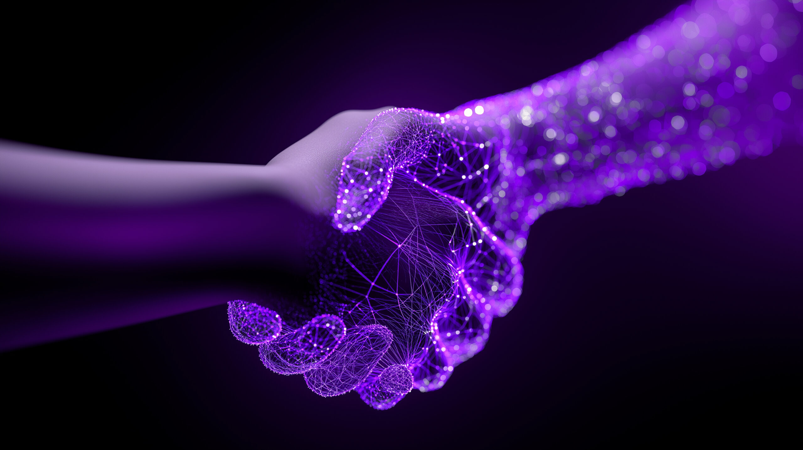 Ph. Curioso.Photography / Adobe Stock (IA)