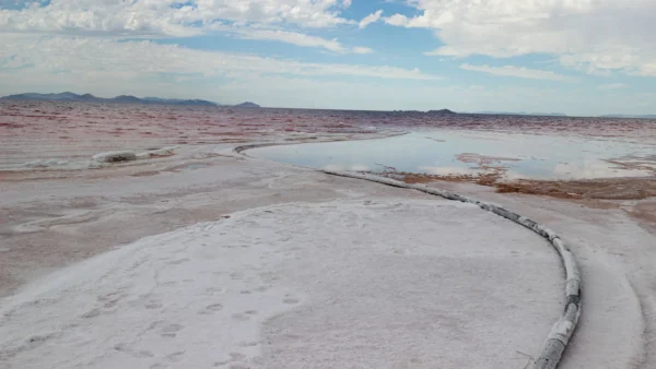 Un tubo di aspirazione, utilizzato per pompare l'acqua al sito dimostrativo di Lilac Solutions, si snoda nel Great Salt Lake, dalle tonalità rosa.ALEXANDER KAUFMAN