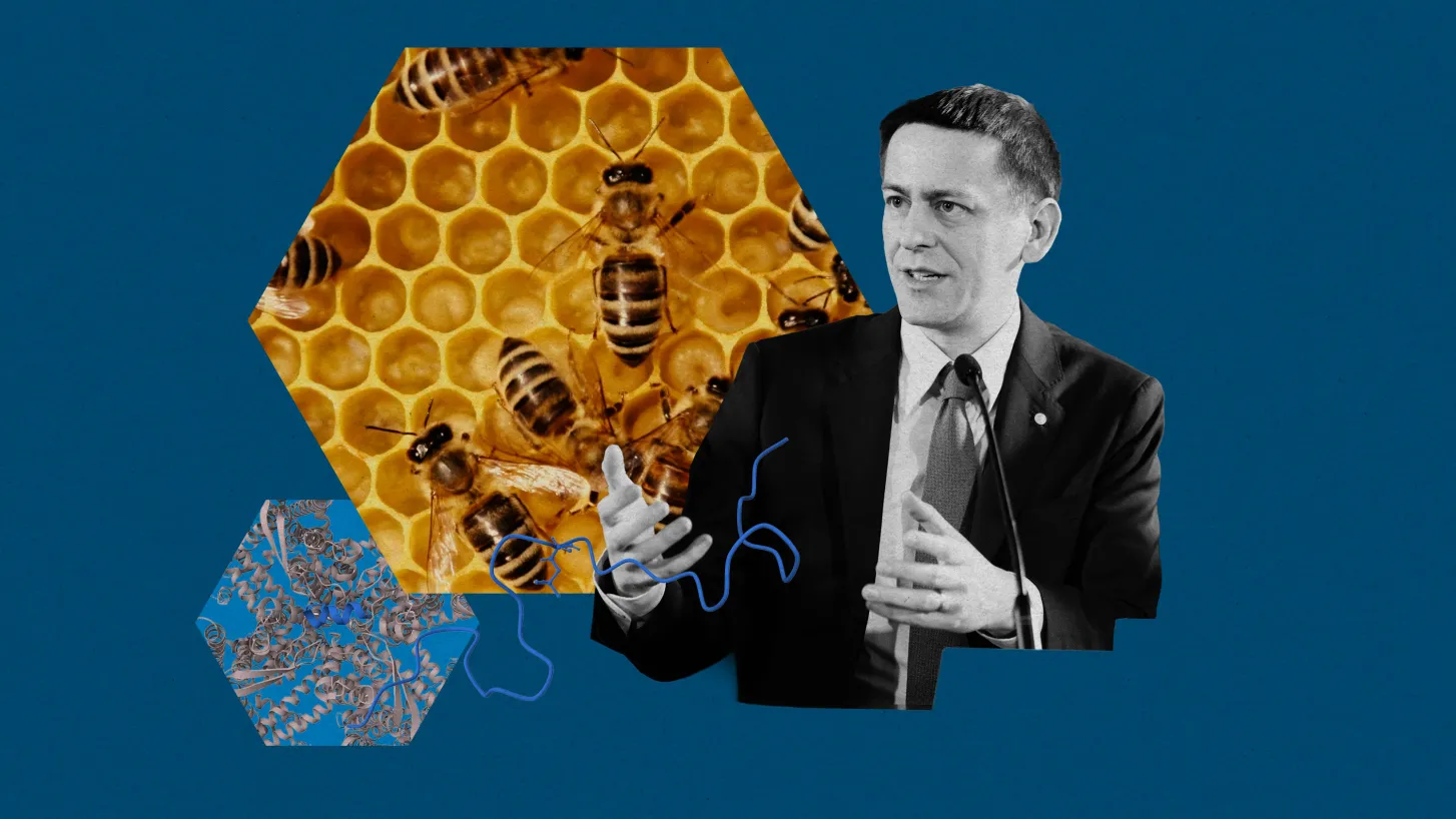 Stephanie Arnett/MIT Technology Review | JohnSears/Wikimedia (Jumper); EMBL-EBI/AlphaFold; Adobe Stock