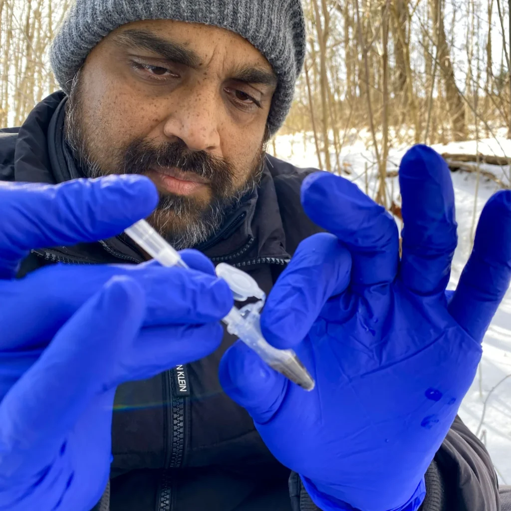 PER GENTILE CONCESSIONE DI WILDTECHDNA