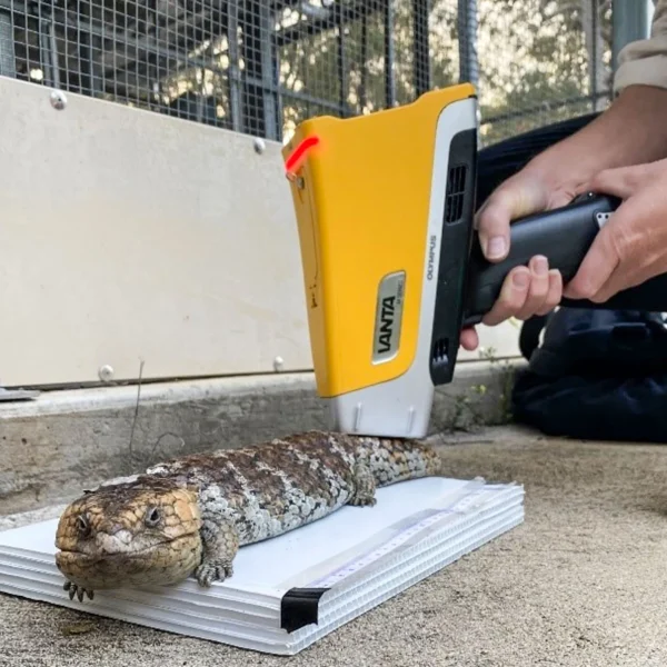 PER GENTILE CONCESSIONE DELLA TARONGA CONSERVATION SOCIETY