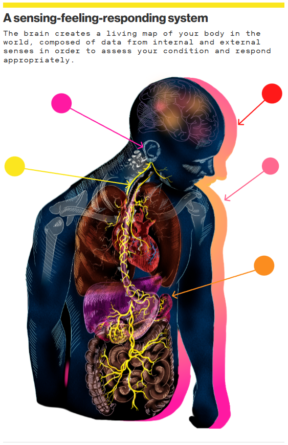 Fonte: MIT Technology Review (grafico), Science Photo Library (diagramma del nervo vago)
