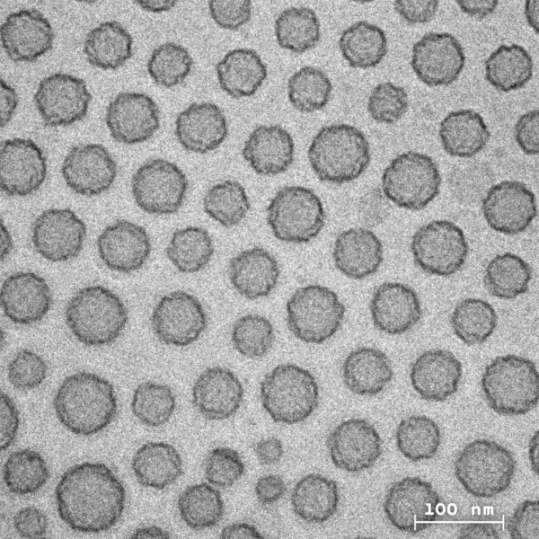 SynthoPlate, qui visibile al microscopio, è una piastrina sintetica che trasporta peptidi che le consentono di imitare il funzionamento delle piastrine naturali, compresa la capacità di aderire ai vasi sanguigni danneggiati e di aggregarsi tra loro.PER GENTILE CONCESSIONE DI SEN GUPTA